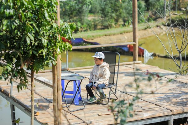 Les Festivals de Musique Incontournables à Travers le Monde